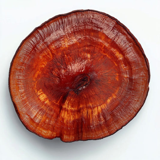 Le Reishi
